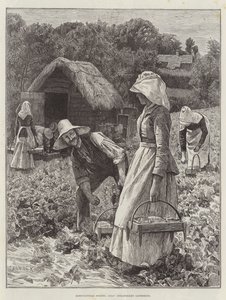 Agricultural Scenes, heinäkuu, Mansikkakokous
